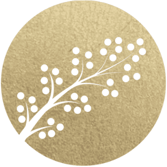 TCDC-Cosmetics-Branding